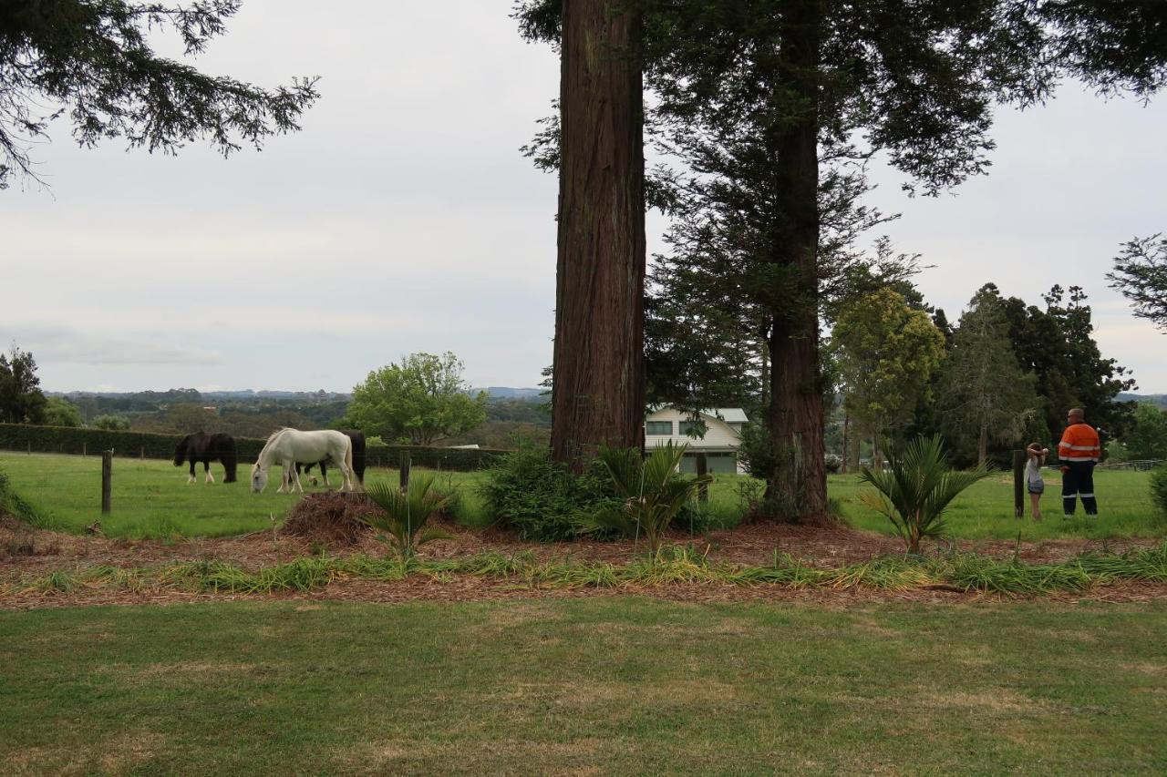 Cosy Nights - Modern, Self-Contained With Parking Apartamento Kerikeri Exterior foto